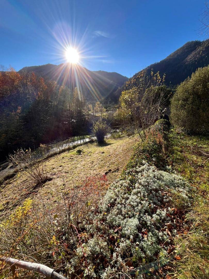 Sonniger Gartenbereich mit üppiger Vegetation und Panoramablick auf die umliegende Natur.