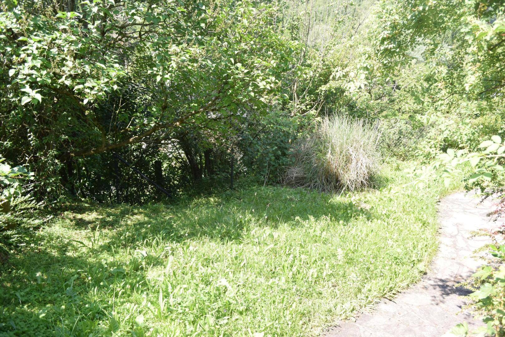Naturbelassener Gartenbereich mit üppigem Grün und Bäumen, ideal für Ruhe und Entspannung.