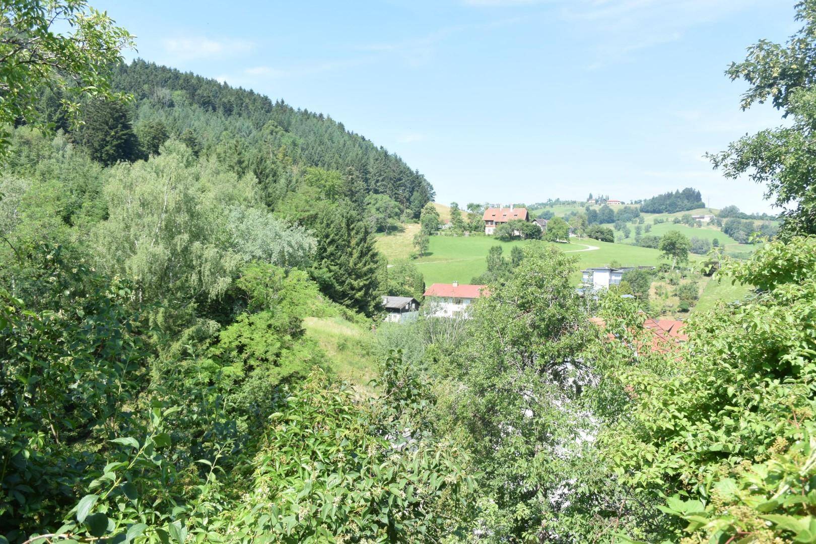 Weitläufiger Blick über die grüne Hügellandschaft mit Wäldern und vereinzelten Häusern.