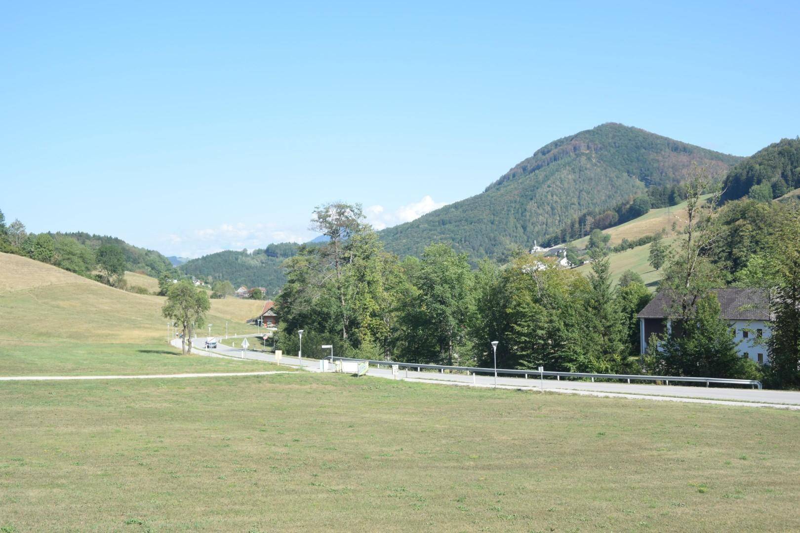 Weitläufige Landschaft mit grünen Hügeln, Bäumen und einer Straße im Vordergrund.