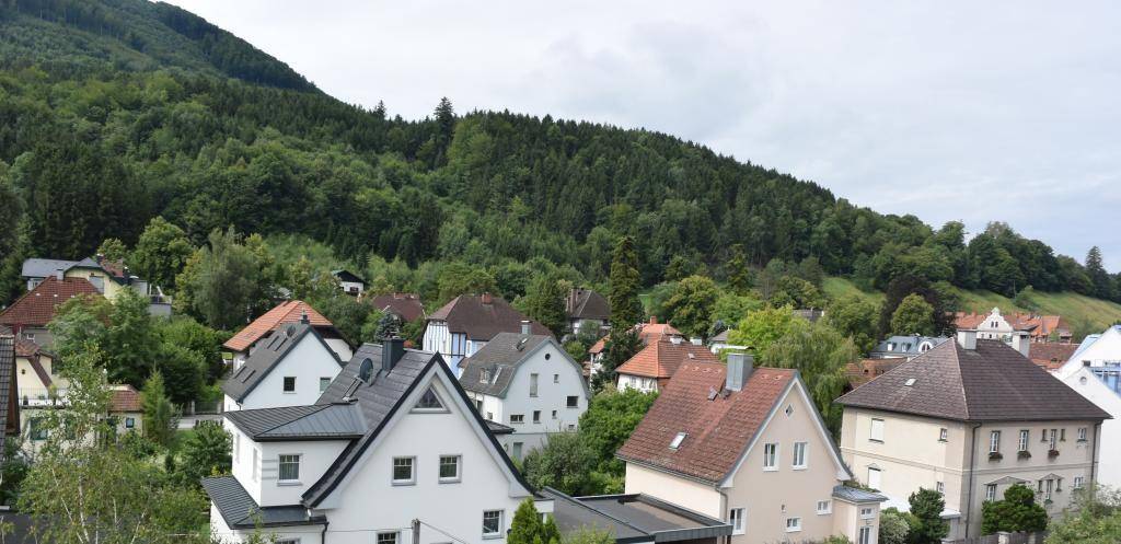 Panoramablick über eine Wohnsiedlung mit vielen Häusern und einem bewaldeten Berg im Hintergrund.