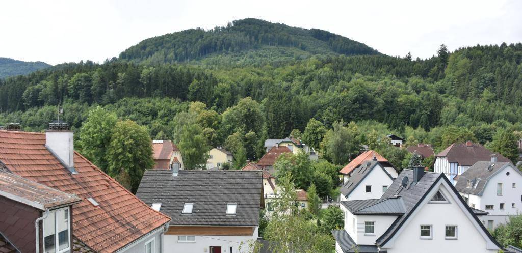Weitläufiger Blick auf eine Wohngegend mit verschiedenen Dächern und einem großen Waldgebiet.