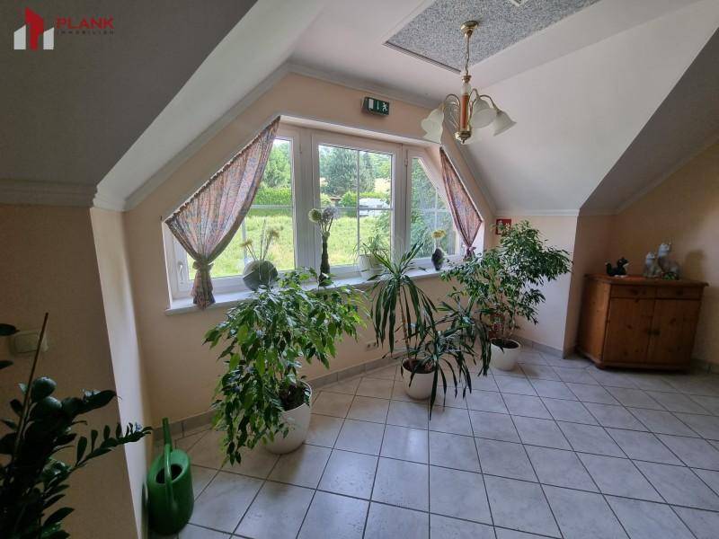 Heller Flur im Dachgeschoss mit großen Fenstern, Fliesenboden und vielen Zimmerpflanzen.