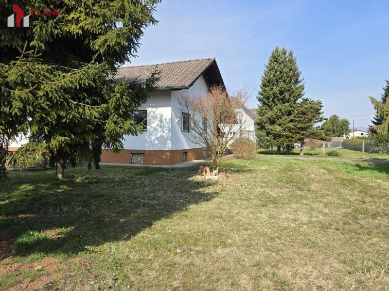 Weitläufiger Gartenbereich mit Rasenfläche und hohen Bäumen, der das Einfamilienhaus umgibt.