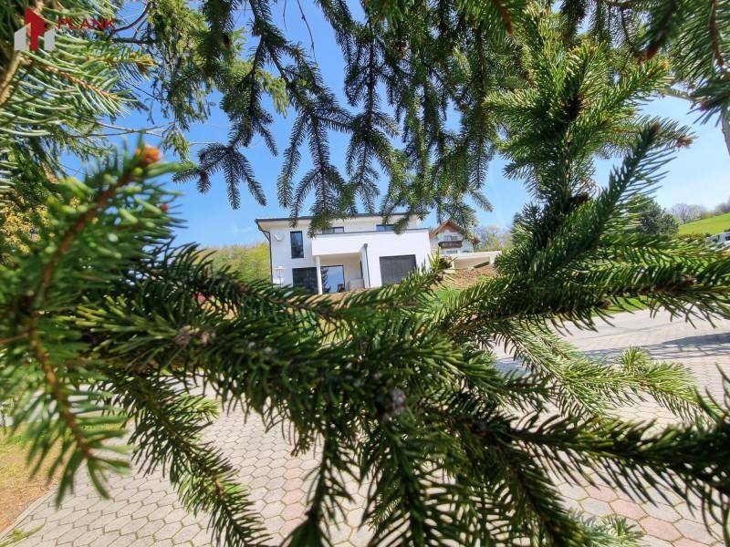 Modernes Einfamilienhaus mit weißer Fassade, umgeben von Nadelbäumen.