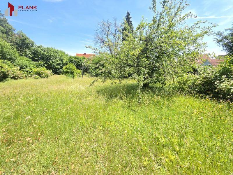 Großes, sonniges Grundstück mit altem Baumbestand und weitem Blick in die Natur.