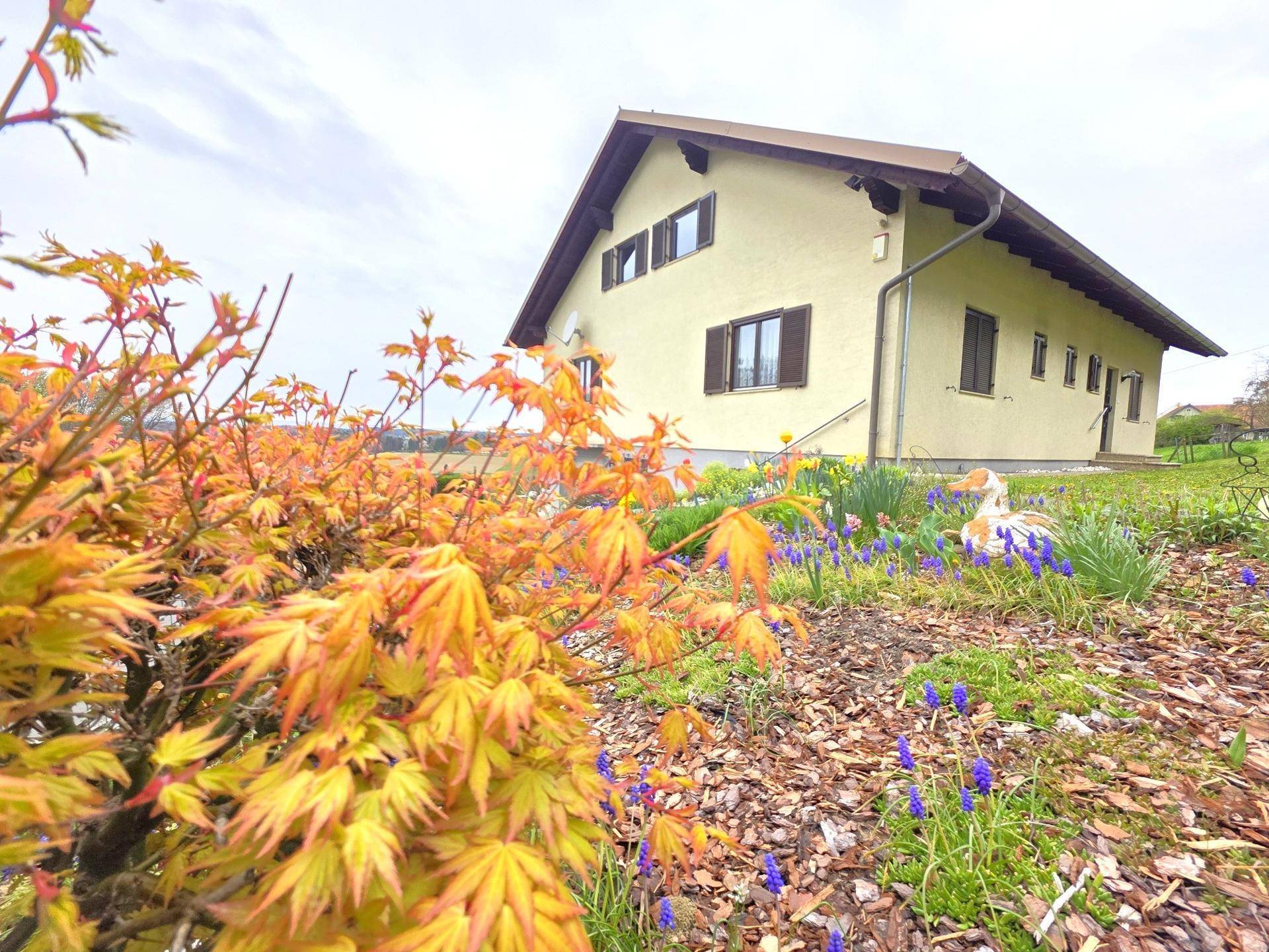 Hausfassade umgeben von blühenden Pflanzen und Sträuchern im Vorgarten.