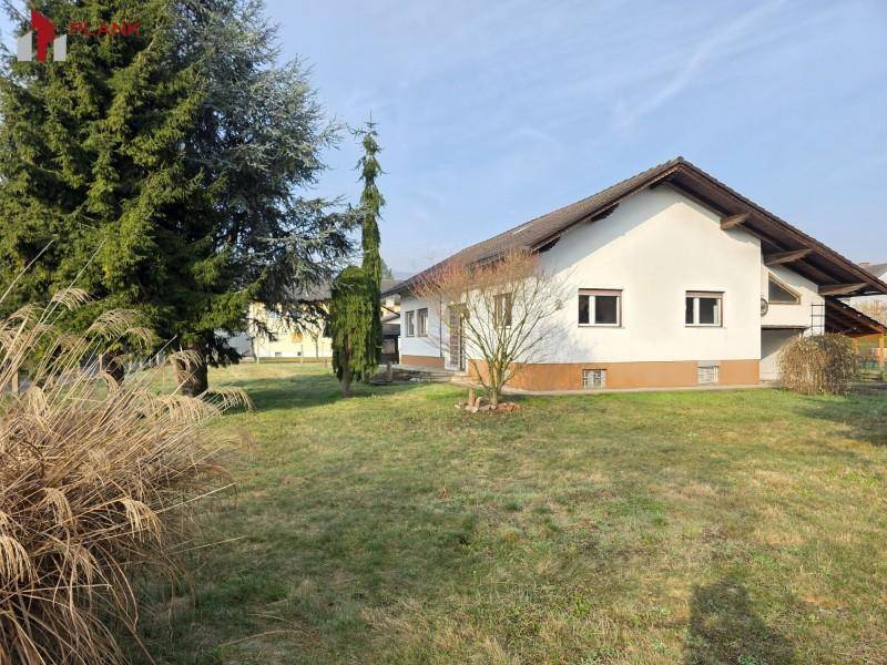 Weitläufiger Gartenbereich mit Rasen und hohen Bäumen, der das Einfamilienhaus umgibt.