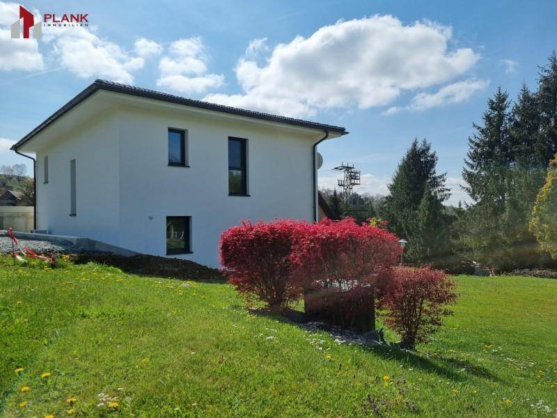 Modernes Einfamilienhaus mit gepflegtem Garten und rotem Zierstrauch.