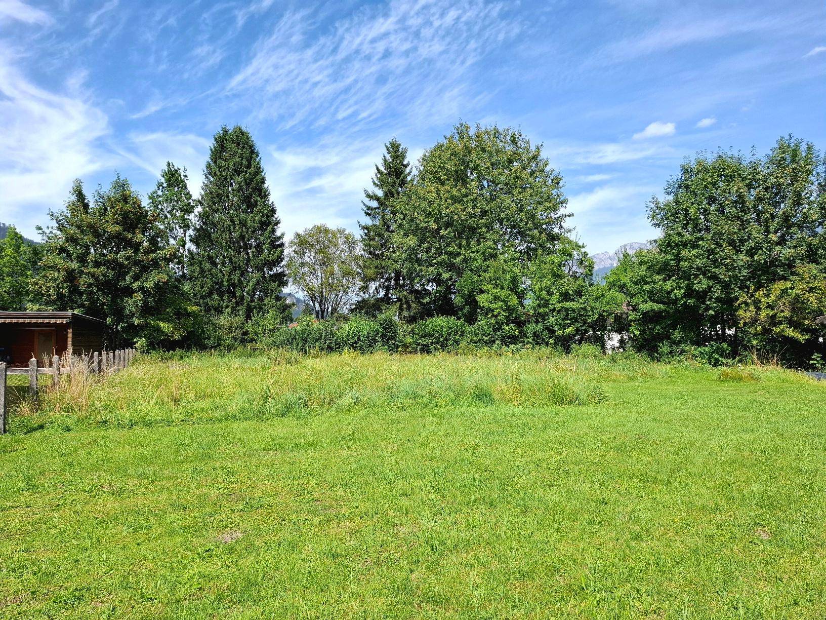 Weitläufige grüne Wiese mit Bäumen im Hintergrund unter einem blauen Himmel.