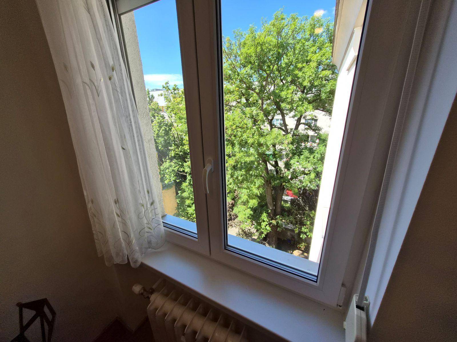 Fenster mit Blick ins Grüne und viel Tageslicht, das den Raum erhellt.