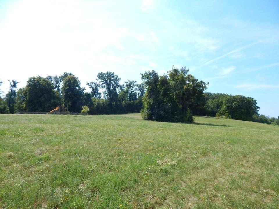 Weite grüne Wiesenfläche unter blauem Himmel, ideal für Erholung und Spiel im Freien.
