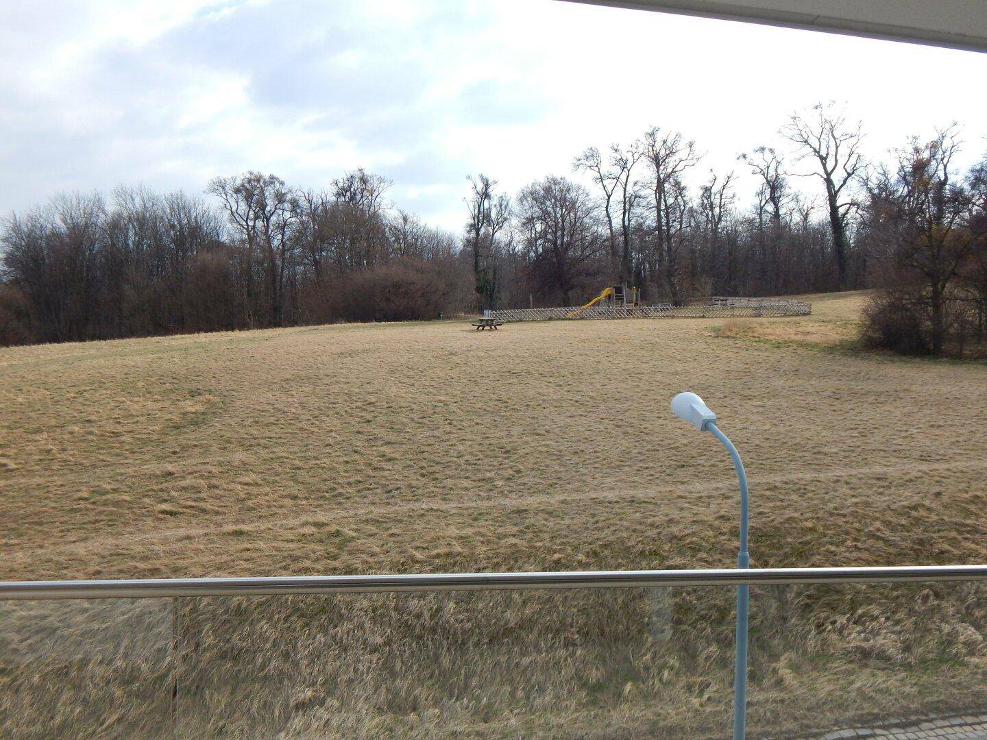 Blick von einem Balkon auf eine weite Wiese mit Bäumen und einem Spielplatz.