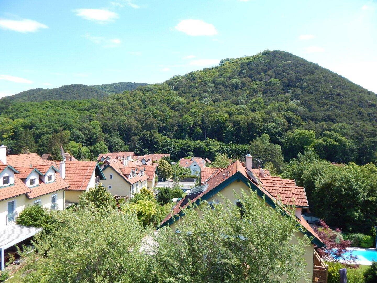 Panoramablick über die Dächer der Nachbarschaft und die umliegende grüne Hügellandschaft.