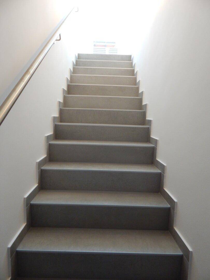 Moderne Treppe mit hellem Geländer führt nach oben, gut beleuchtet durch natürliches Licht.