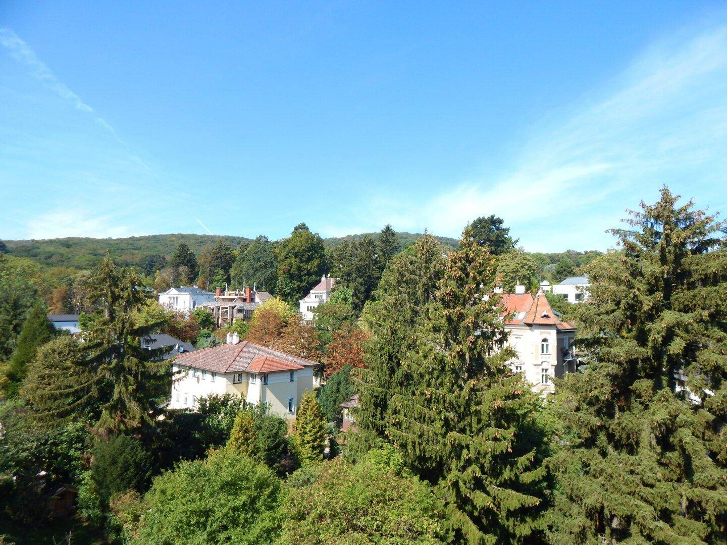 Weitläufiger Blick über eine grüne Hügellandschaft mit vereinzelten Wohnhäusern unter blauem Himmel.