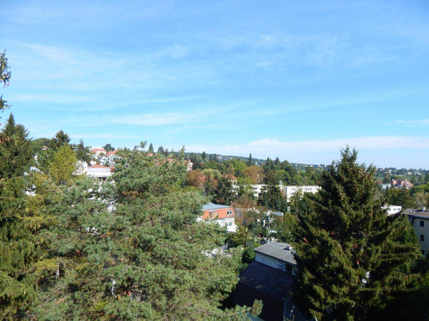 Panoramablick über eine grüne Wohngegend mit Bäumen und Häusern in der Ferne.