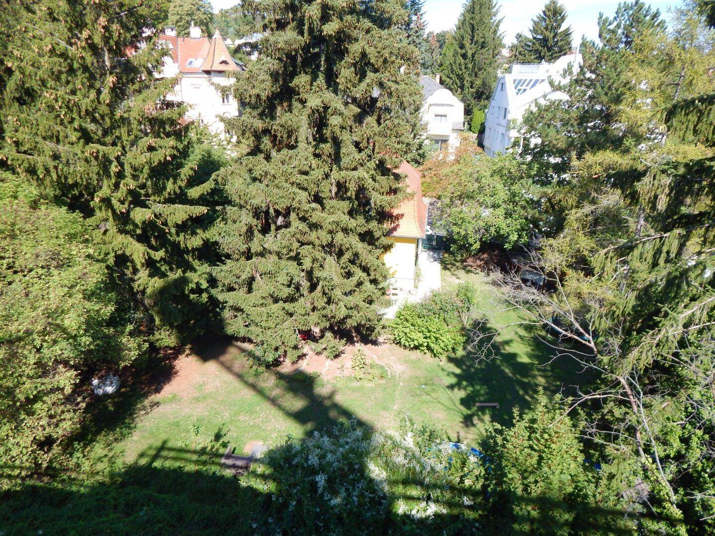 Blick von oben in einen gepflegten Garten mit Rasenfläche und hohen Bäumen, teilweise im Schatten.