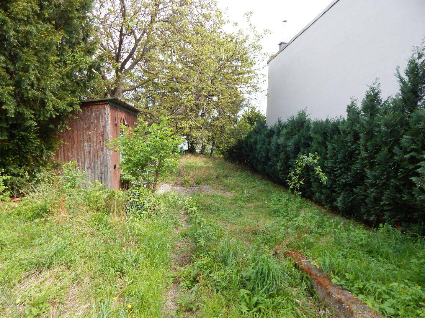 Traumhaftes Baugrundstück für Ihr Eigenheim in Brunn am Gebirge mit Baugenehmigung - Ansicht 5