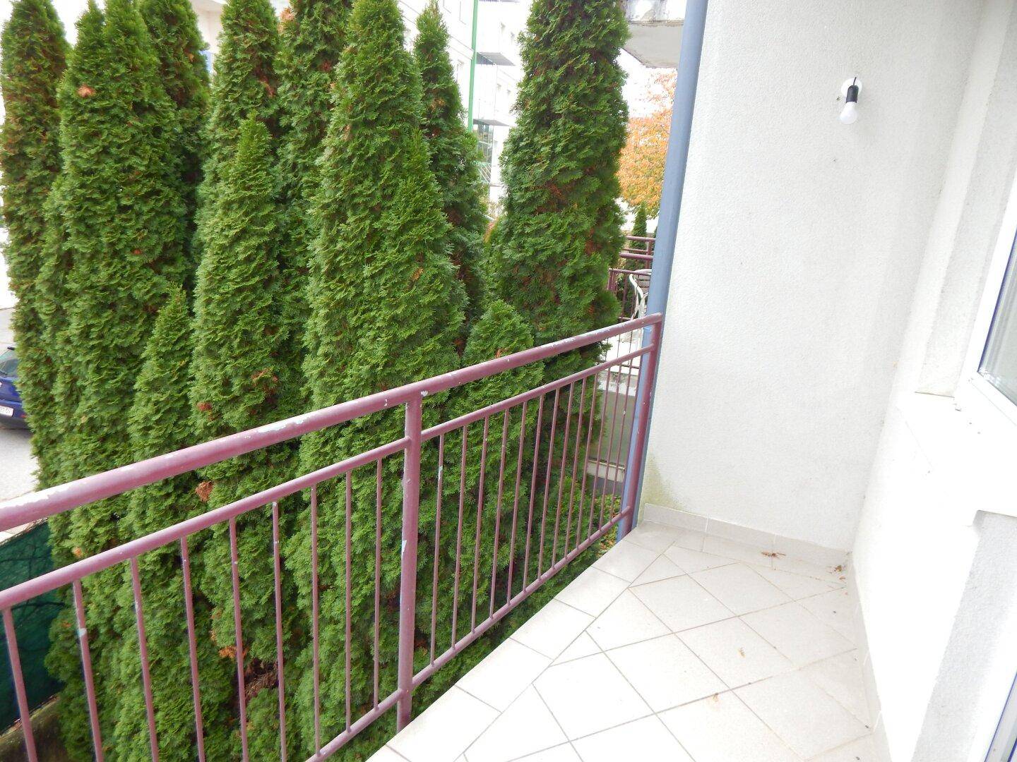 Kleiner Balkon mit Fliesenboden und Blick auf hohe Hecken.