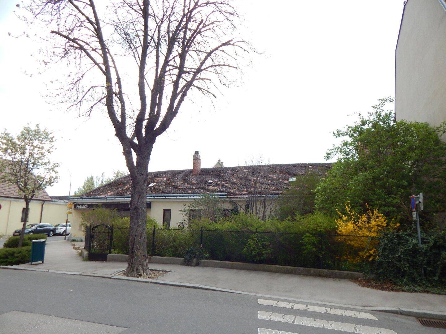 Vorderansicht des Gebäudes von der Straße mit einem großen Baum und blühenden Sträuchern.