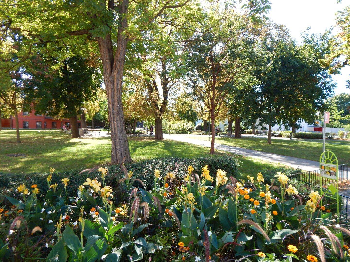 Grüner Park mit hohen Bäumen, blühenden Blumenbeeten und einem Spazierweg an einem sonnigen Tag.