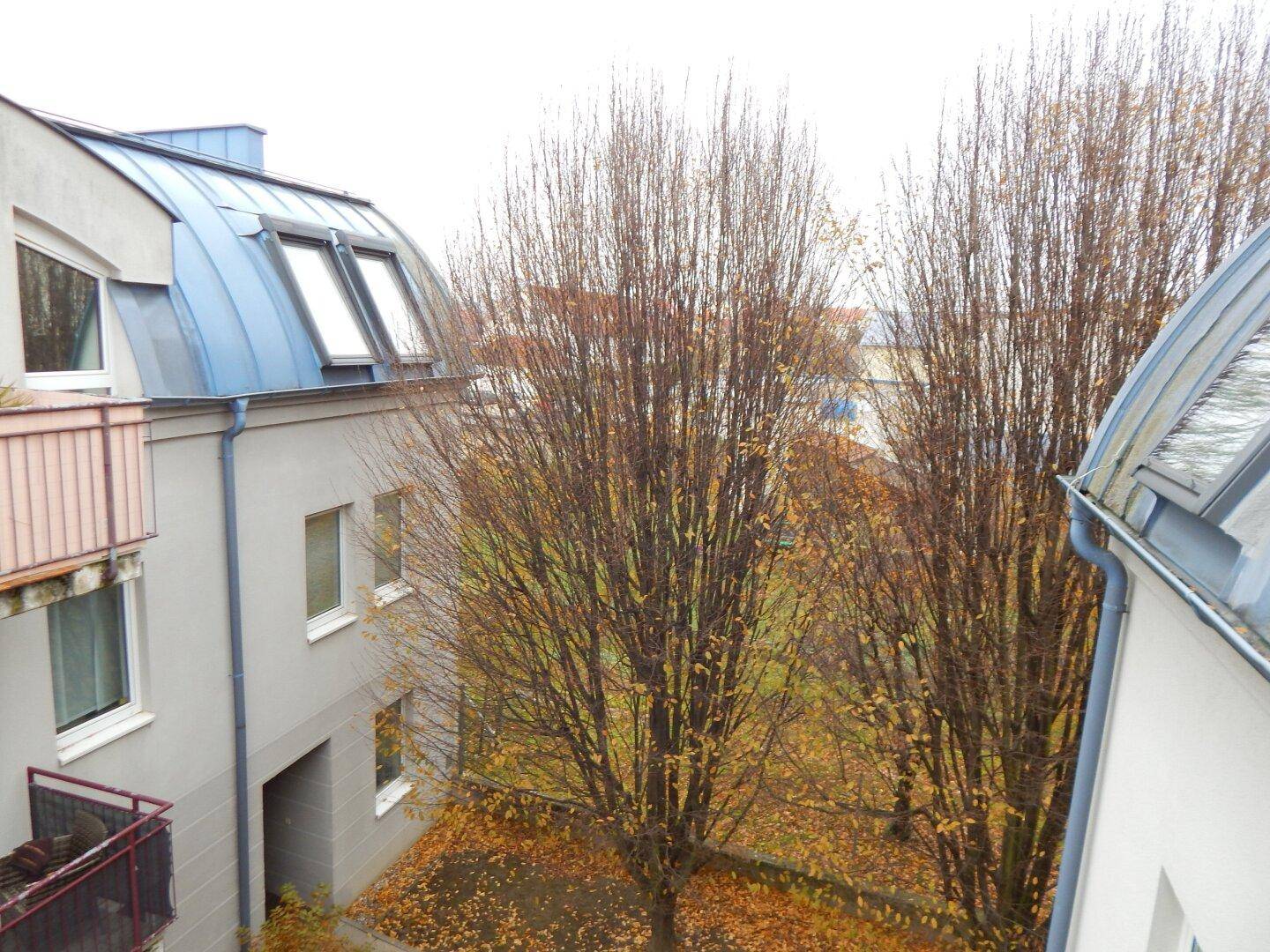 Ansicht des Gebäudes mit blauen Dächern und herbstlichen Bäumen im Vordergrund, die eine grüne Umgebung andeuten.