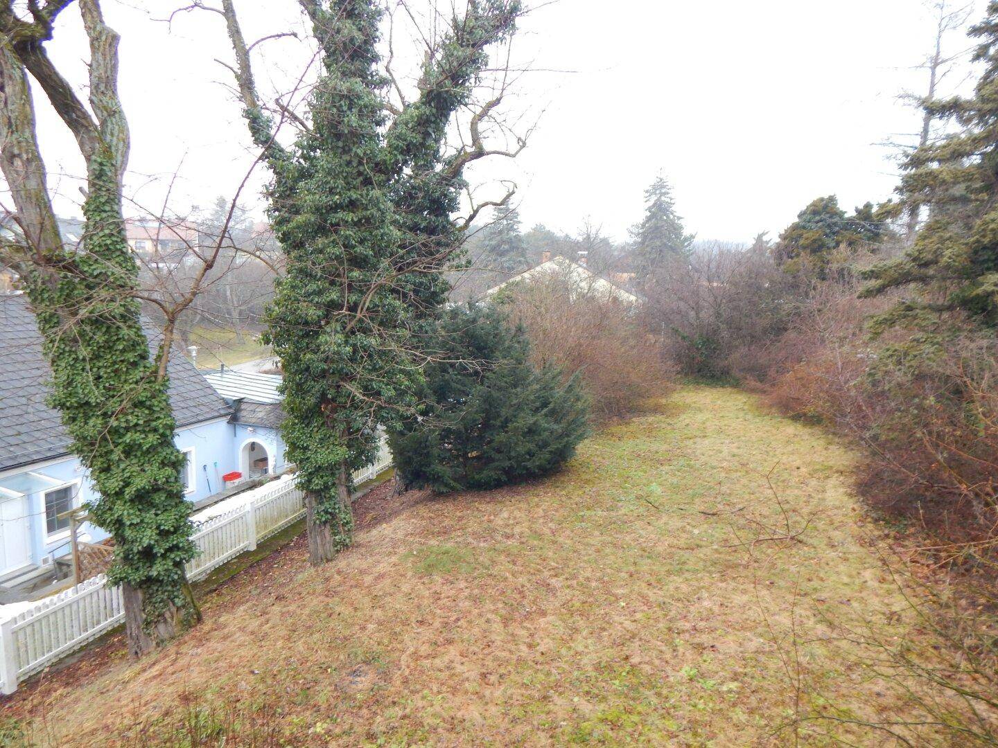 Gartenbereich mit Rasen und Bäumen, bietet einen Blick auf das benachbarte Gebäude.