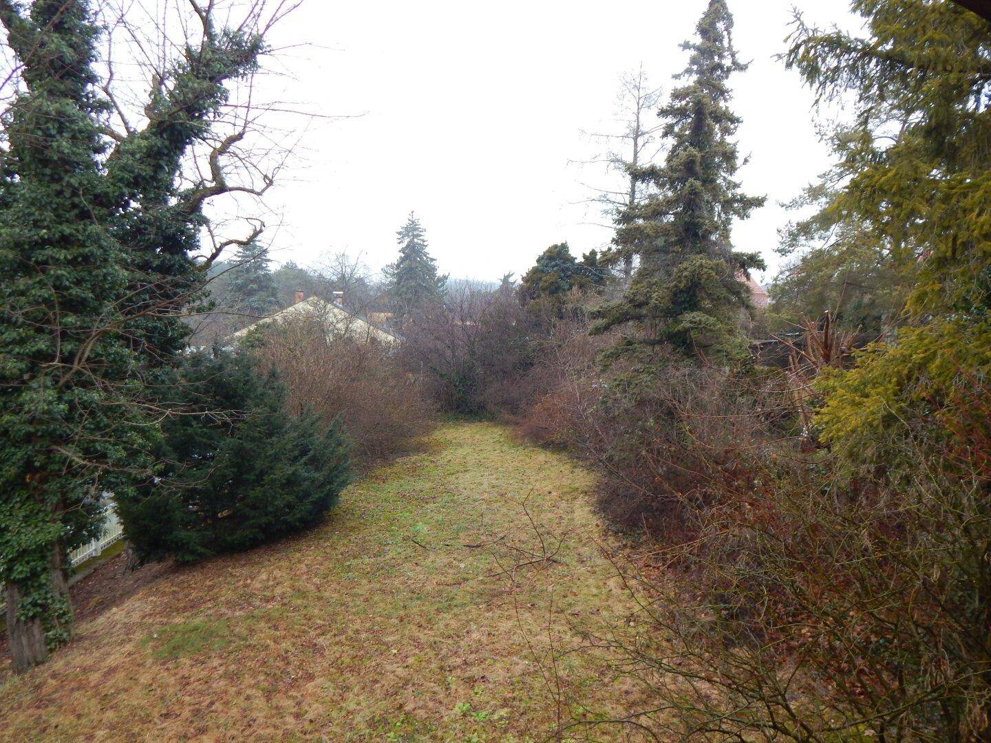 Weitläufiger Gartenbereich mit Rasen und dichtem Baumbestand, bietet viel Privatsphäre.