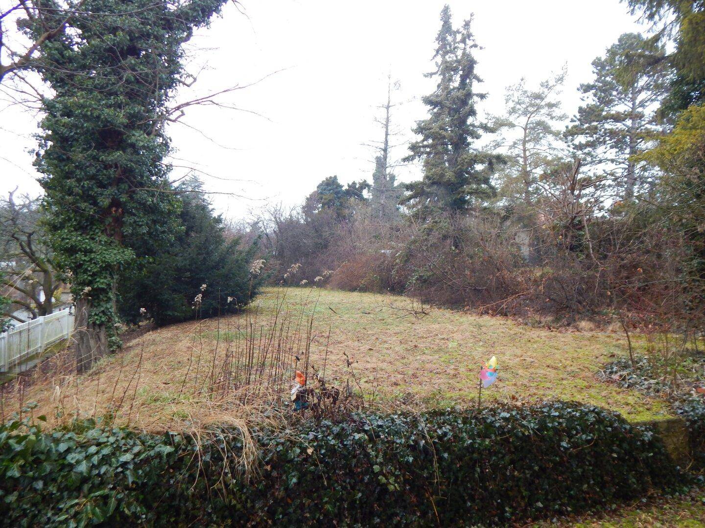 Gartenbereich mit Rasenfläche, Hecke und dekorativen Gartenzwergen, umgeben von Bäumen.