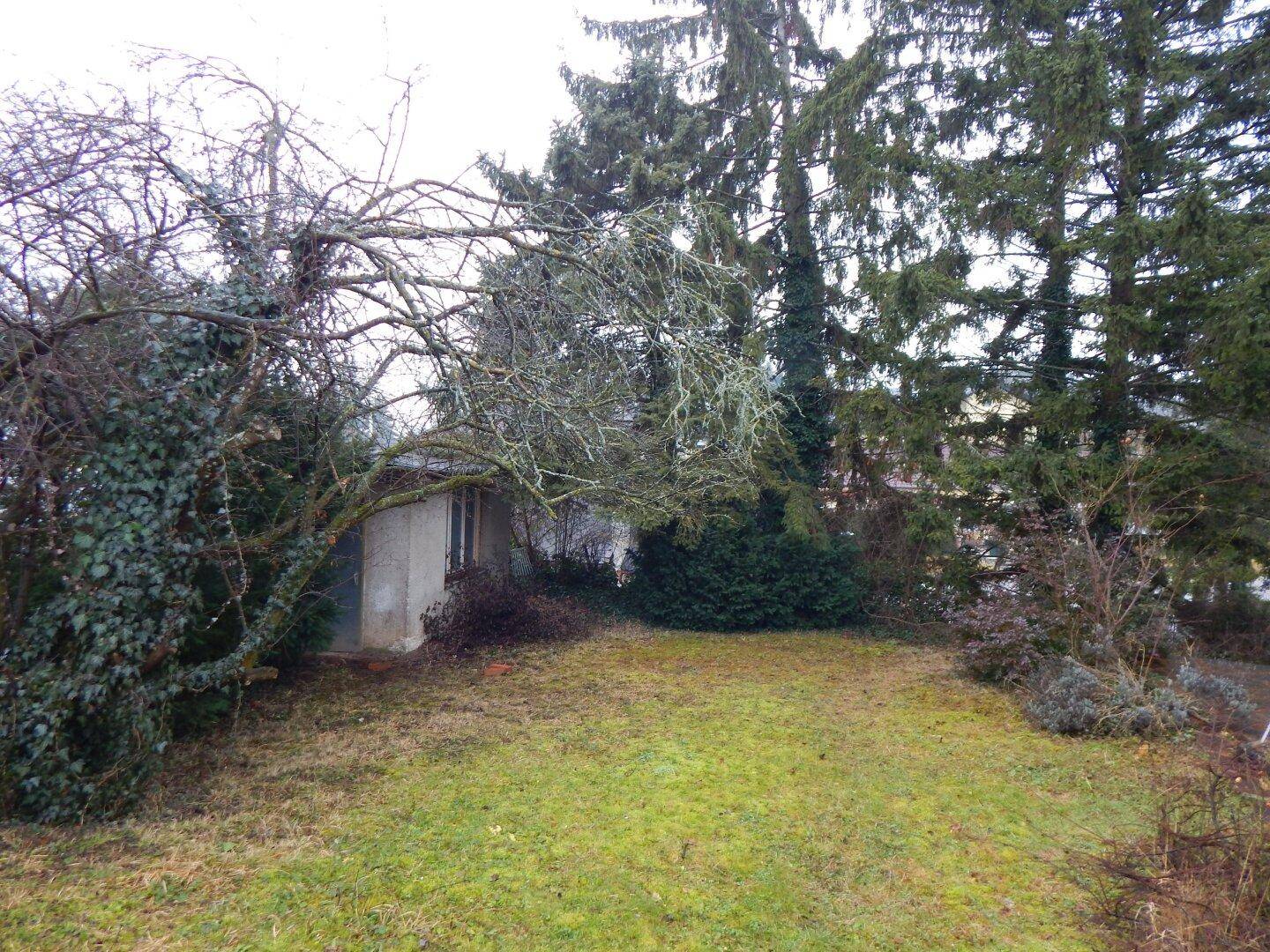 Gartenbereich mit Rasen und einem kleinen Schuppen, umgeben von Bäumen und Sträuchern.