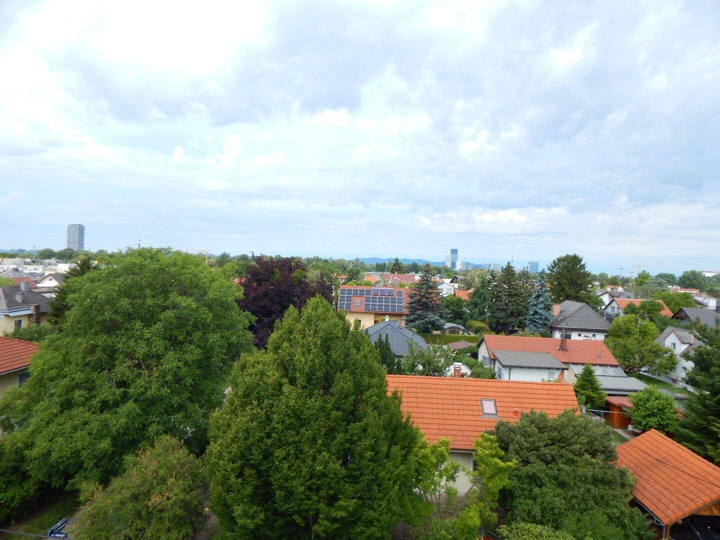 Panoramablick über eine grüne Wohngegend mit vielen Bäumen und einer fernen Stadtsilhouette am Horizont.