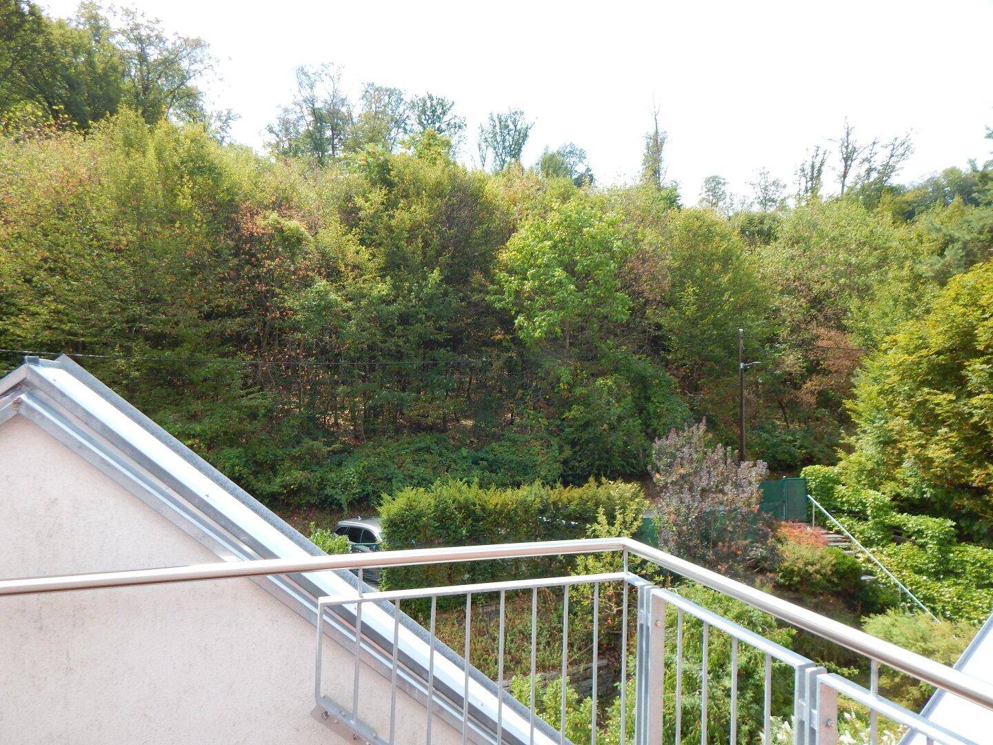 Panoramablick von einem Balkon auf einen bewaldeten Hügel und die grüne Landschaft.