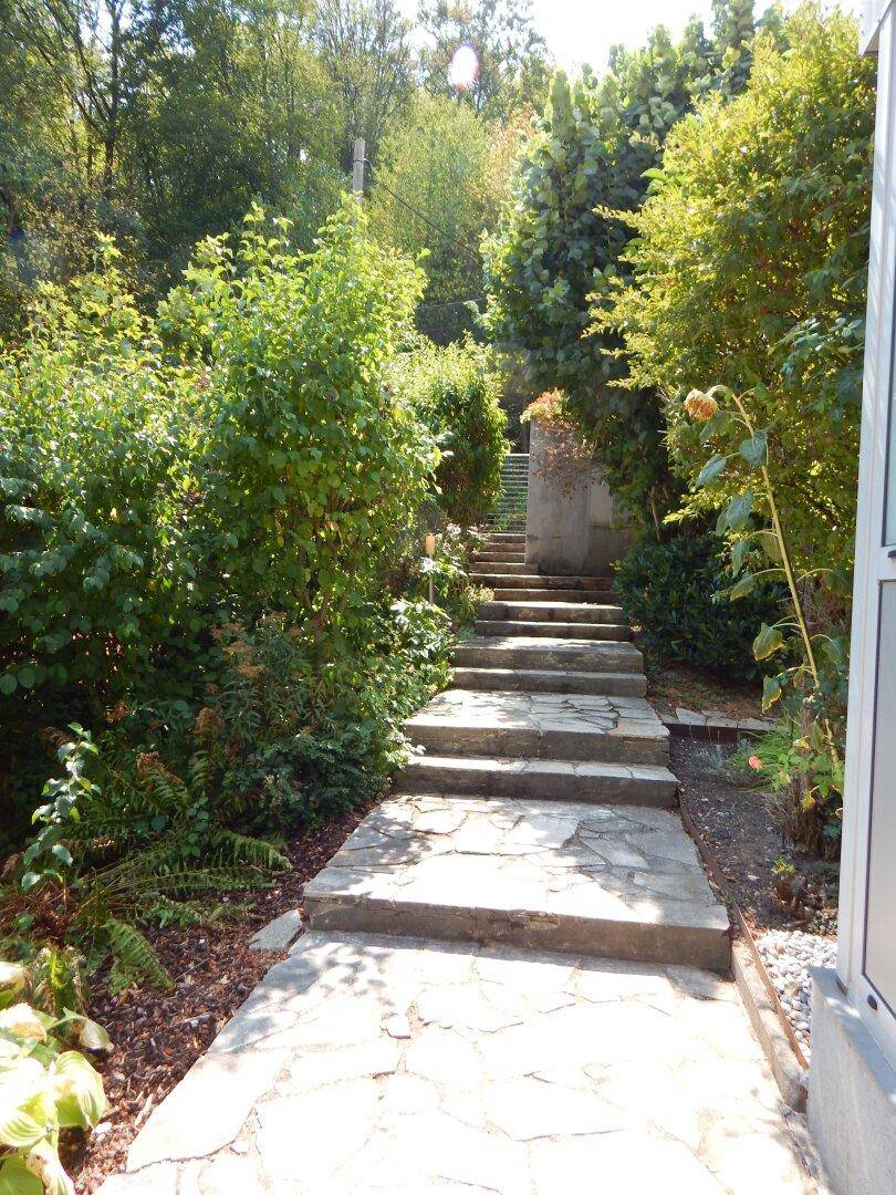 Steinplattenweg führt durch einen üppig bewachsenen Gartenbereich mit vielen Pflanzen.