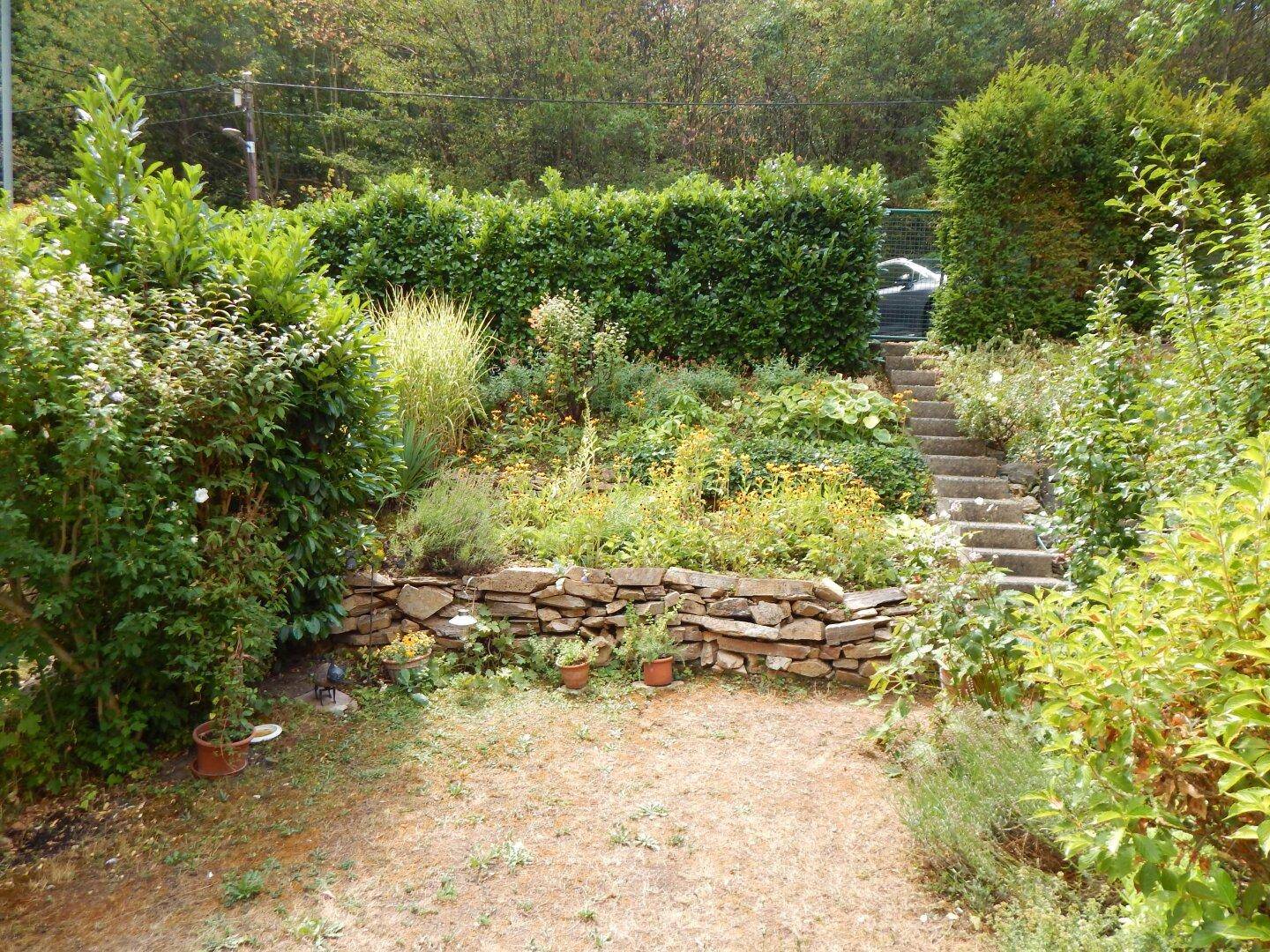 Stufenförmiger Garten mit Steinmauern und dichter Vegetation, führt zu einem oberen Bereich.