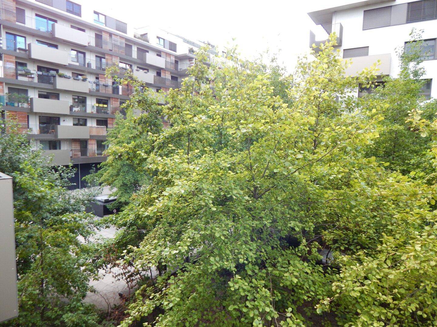 Blick auf den begrünten Innenhof mit Bäumen und modernen Wohngebäuden im Hintergrund.