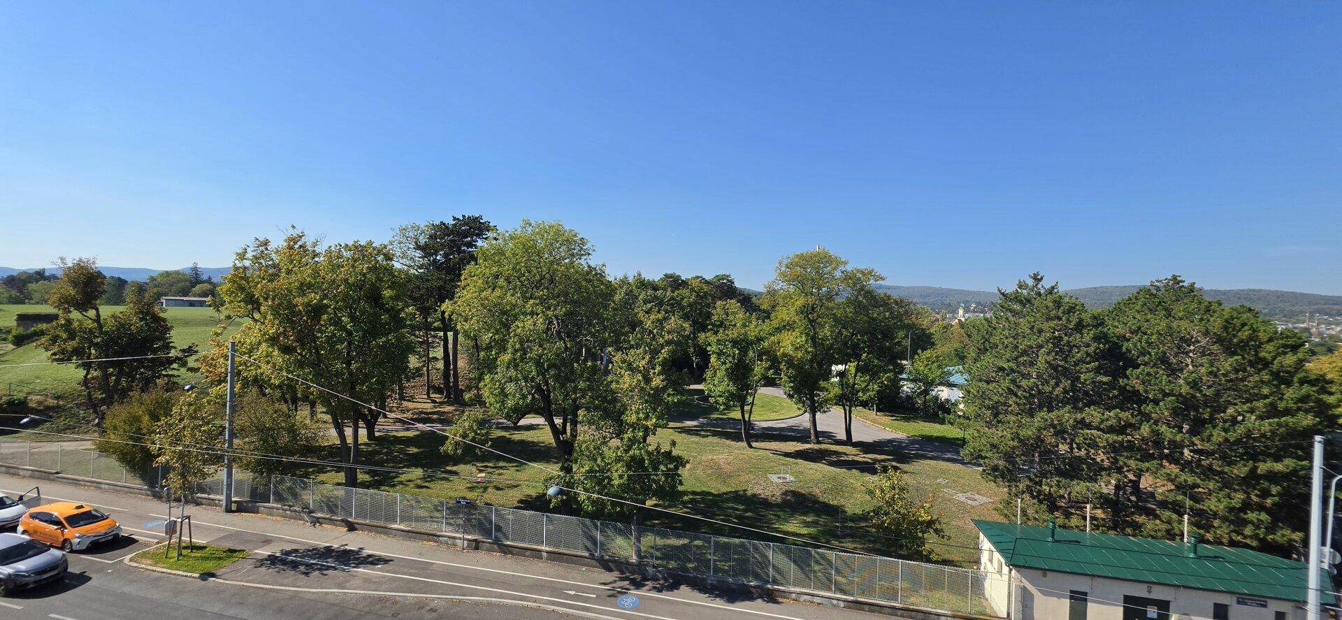 Weitläufiger Blick auf eine grüne Parklandschaft mit Bäumen und einer Straße im Vordergrund.
