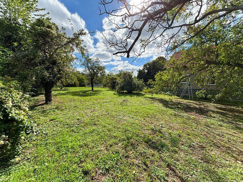 Großer Garten mit altem Baumbestand und Blick auf das Wohnhaus im Hintergrund.