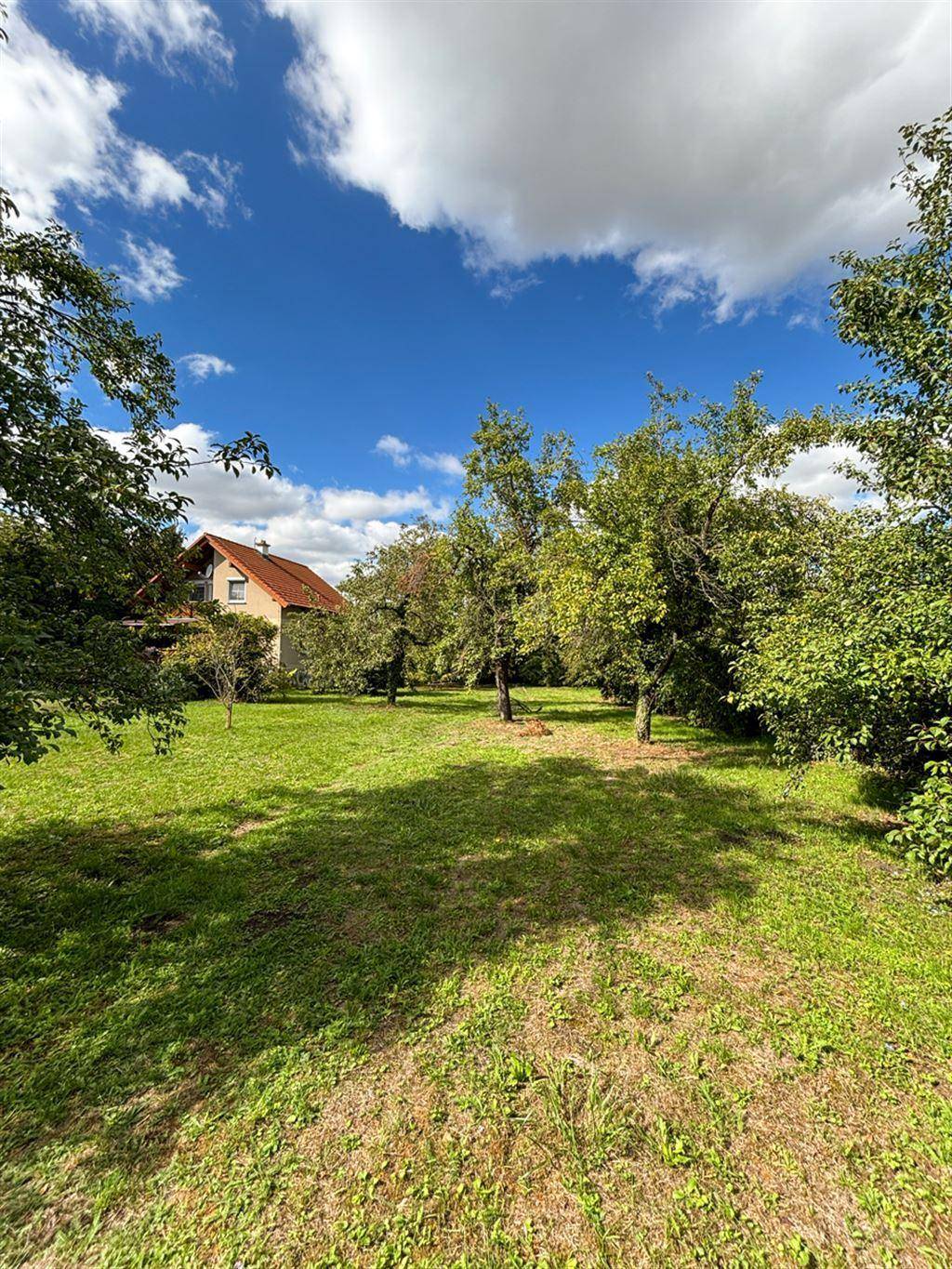 Ruhiger Garten mit Rasen, Bäumen und einem charmanten Haus mit Ziegeldach im Hintergrund.