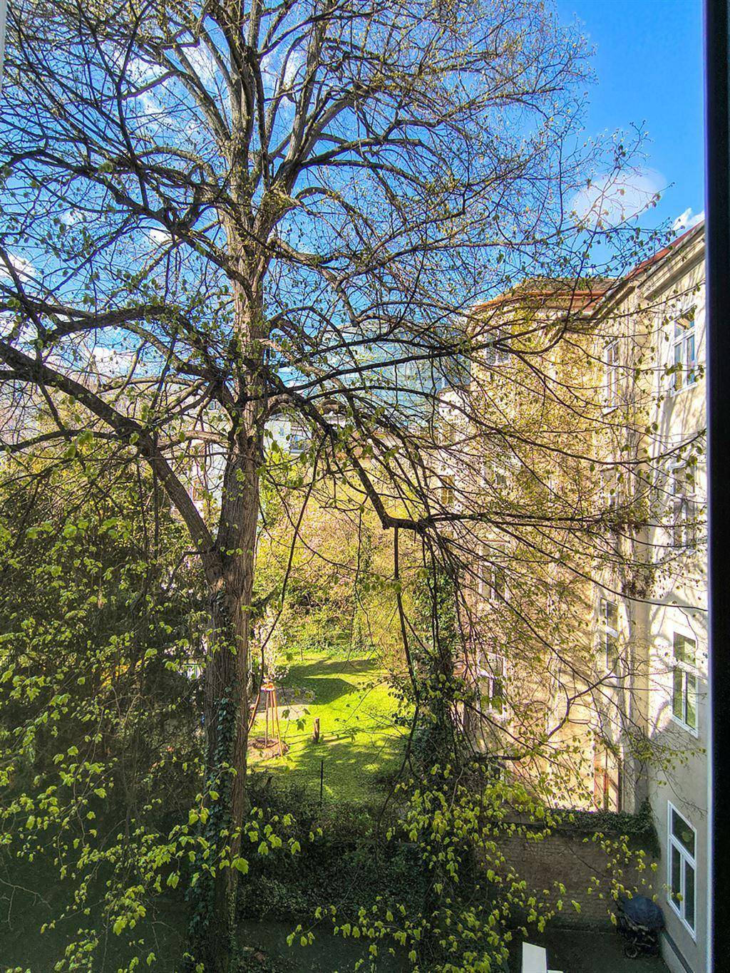 Blick aus einem Fenster auf einen grünen Innenhof mit Bäumen und einer weitläufigen Rasenfläche.