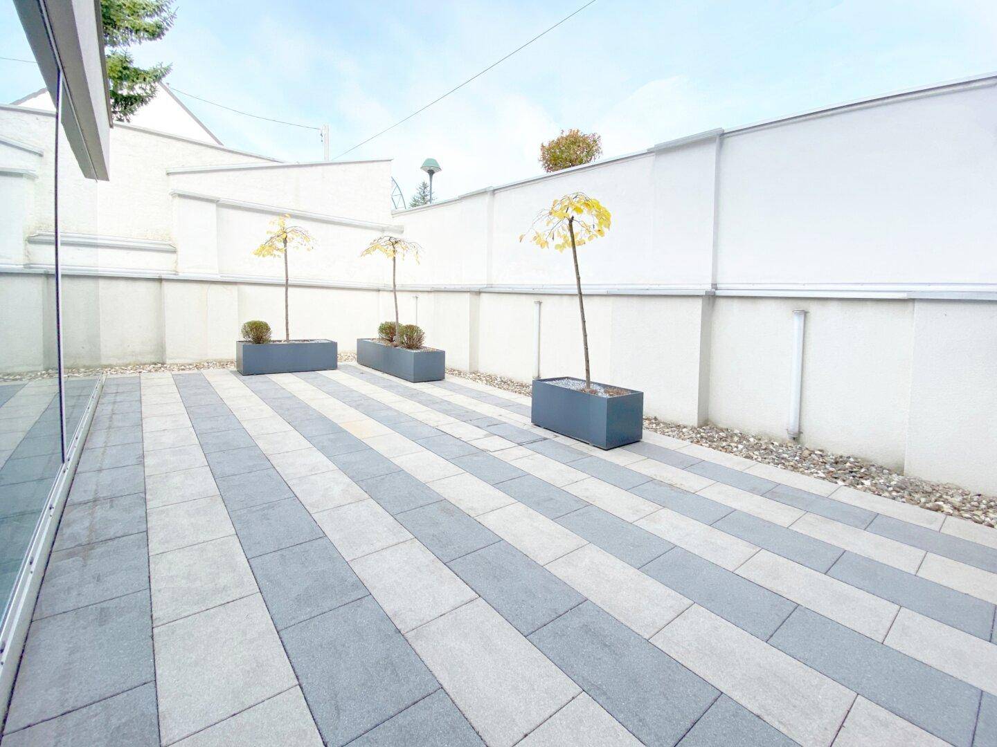 Moderne Außenterrasse mit gestreiften Fliesen, hohen weißen Mauern und dekorativen Bäumen in Pflanzkübeln.