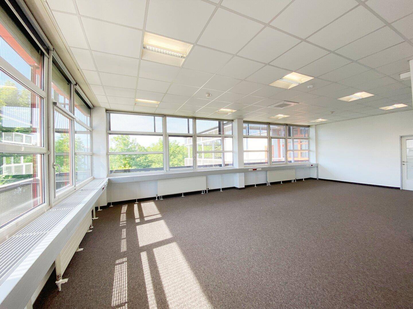 Helles, leeres Büro mit Teppichboden und großen Fenstern, die viel Sonnenlicht hereinlassen.