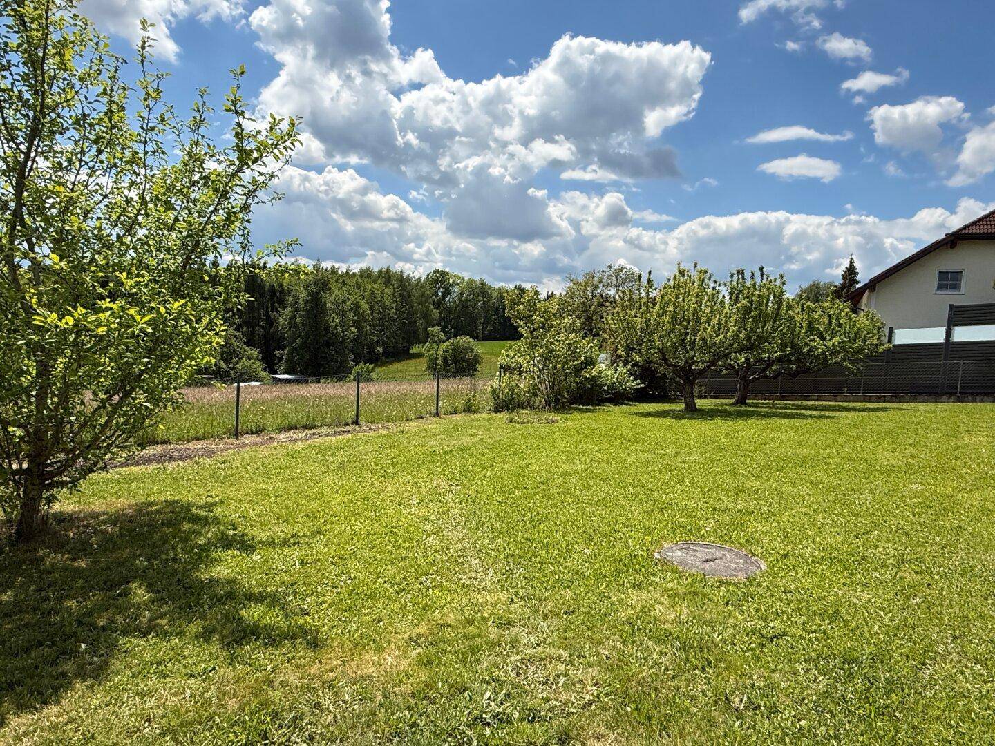 Großer grüner Garten mit Rasenfläche, Bäumen und weitem Blick auf die umliegende Natur.
