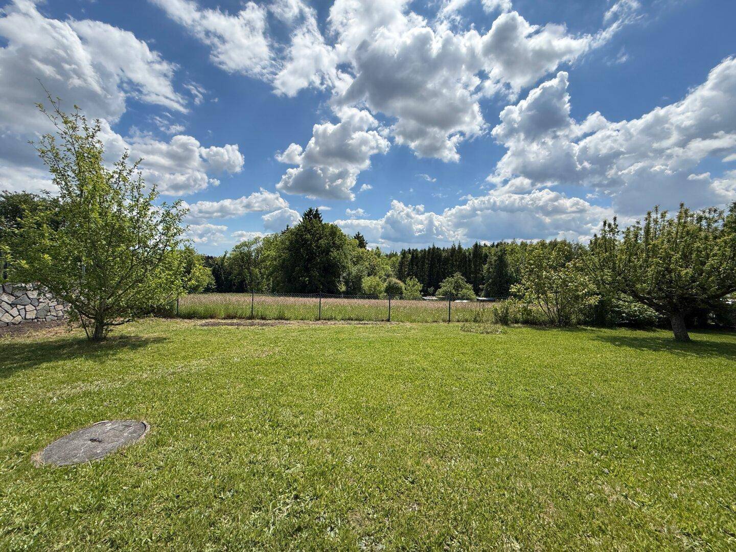 Weitläufiger grüner Garten mit Bäumen und freiem Blick auf die bewaldete Landschaft.