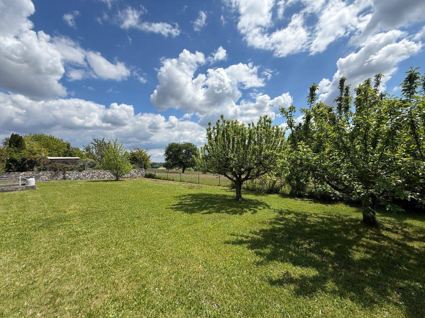 Sonniger Garten mit gepflegtem Rasen, Obstbäumen und idyllischem Blick ins Grüne.