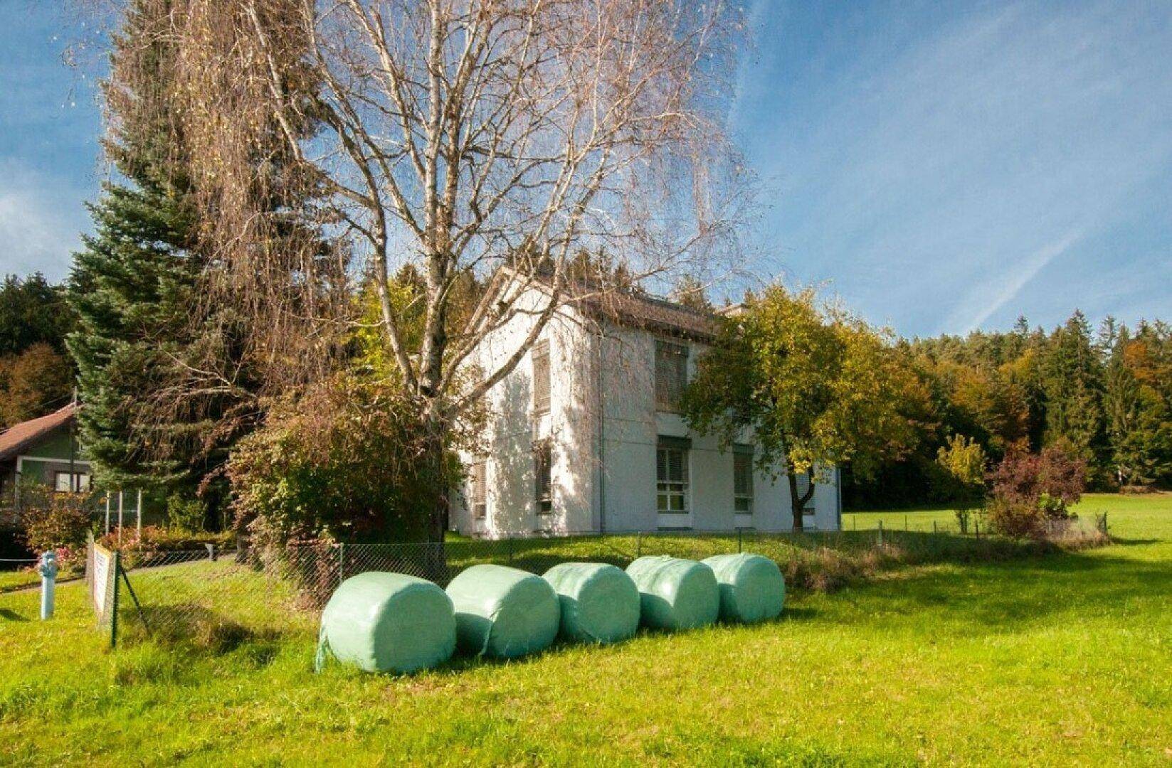 Seitenansicht des Gebäudes umgeben von Wiesen und Bäumen unter strahlend blauem Himmel.