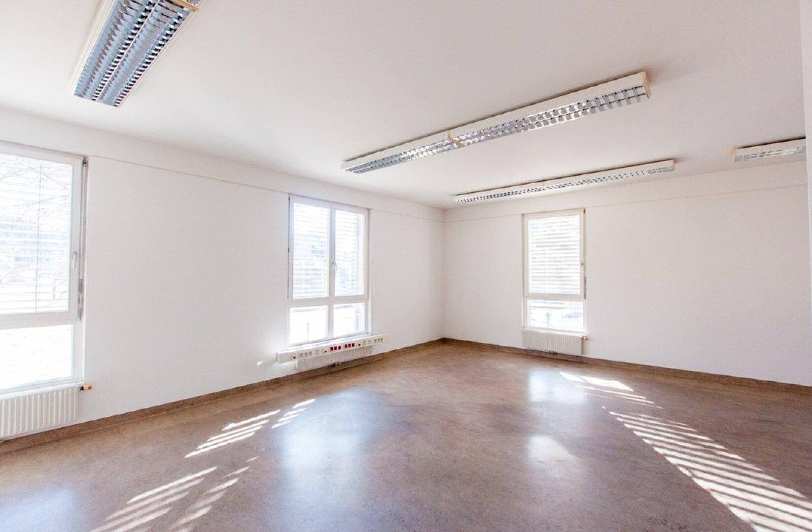 Helles Büro mit großen Fenstern, Linoleumboden und Deckenleuchten.