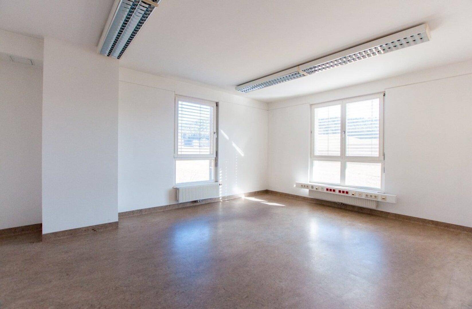 Geräumiges Büro mit zwei großen Fenstern, Linoleumboden und viel Tageslicht.