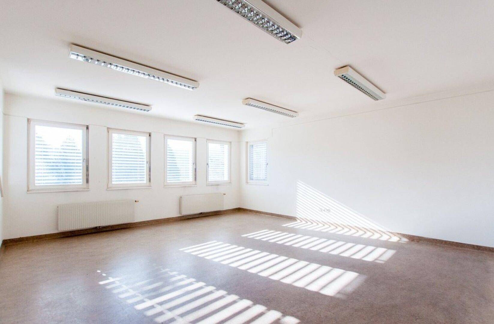 Helles Büro mit mehreren Fenstern, Linoleumboden und Deckenleuchten.