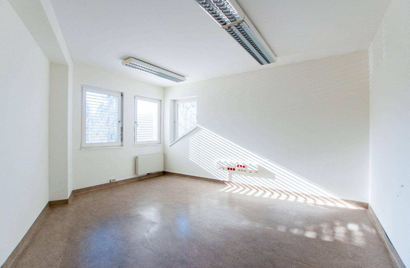 Helles Büro mit drei Fenstern, Linoleumboden und Deckenleuchten.